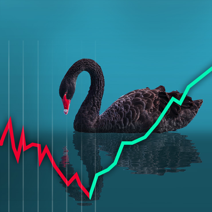 Schwarzer Schwan auf Wasser mit fallender und steigender Kurve als Symbol für unerwartete Risiken