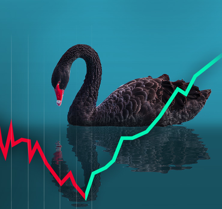 Schwarzer Schwan auf Wasser mit fallender und steigender Kurve als Symbol für unerwartete Risiken